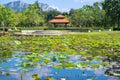 View lotus pond in Chalermprakiat garden or public park in EGAT Mae Moh Lampang at Thailand Royalty Free Stock Photo