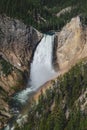 View of the Lower Falls of the Yellowstone River in Yellowstone National Park Royalty Free Stock Photo