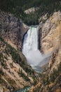 View of the Lower Falls of the Yellowstone River in Yellowstone National Park Royalty Free Stock Photo