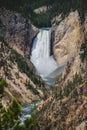 View of the Lower Falls of the Yellowstone River in Yellowstone National Park Royalty Free Stock Photo