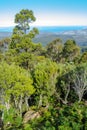 Stunning view of lowlands through mountain forest, mount wellington, Tasmania Royalty Free Stock Photo