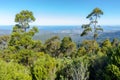 Stunning view of lowlands through mountain forest, mount wellington, Tasmania Royalty Free Stock Photo
