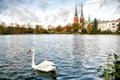 View of Lubeck The white swan is swimming in the lake. Cathedral Royalty Free Stock Photo