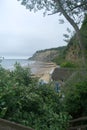 View of Luccombe Beach and Thatched Cottage Below Cliffs and Lush Foliage on the Isle of Wight Coast Royalty Free Stock Photo