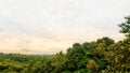 Lush Green Forest Canopy Under Cloudy Sky Royalty Free Stock Photo