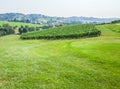 View of lush vineyard on a slope at Zlati Gric, a wine estate Slovenske Konjice in Slovenia