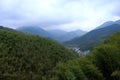 View of luxuriant bamboo forests in Mukeng Zhuhai, Mukeng Village and surrounding hills, in Huangshan City.