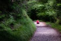 Person rests on the path in the woods. Cesiomaggiore, Belluno, Italy