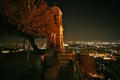 A view from Lykavittos at night Royalty Free Stock Photo