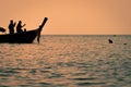 Macacus swimming for food from tourist in Monkey Beach at sunset, Phi Phi Island, Thailand.