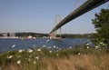 View of the MacKay bridge, a landmark in Halifax Nova Scotia Royalty Free Stock Photo