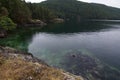 View of Mackenzie Bight from rocky bluff showing clear green sea and evergreen covered mountains of Saanich Inlet