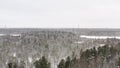 A view of magical winter wood, there is heavy snow.