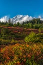 View on the magnificent Mount Rainier from Paradise Vista trail Royalty Free Stock Photo