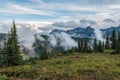 View on the magnificent Mount Rainier from Paradise Vista trail Royalty Free Stock Photo