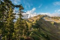 View on the magnificent Mount Rainier from Paradise Vista trail Royalty Free Stock Photo