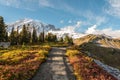 View on the magnificent Mount Rainier from Paradise Vista trail Royalty Free Stock Photo