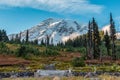 View on the magnificent Mount Rainier from Paradise Vista trail Royalty Free Stock Photo