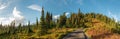 View on the magnificent Mount Rainier from Paradise Vista trail Royalty Free Stock Photo