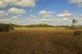 View from the Mahogany Hammock Trail, Everglades National Park