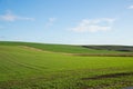 View of the main road leading to vineyards and farms in the Svatoborice region of Moravian Tuscany during a sunny autumn day in