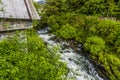 A view of the main Salmon stream near the Creek area of Ketchikan, Alaska