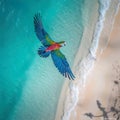 View with a majestic parrot flying over a natural tropical beach