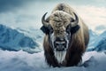 view Majestic snowy bison stands against a serene snowy background