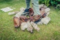 View of male feet trampling a bunch of plastic bottles/Concept ecology. View of male feet trampling a bunch of plastic bottles