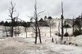 View at Mammoth Hot Springs with dead trees in the Yellowstone National Park America Royalty Free Stock Photo