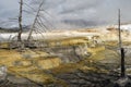 View at Mammoth Hot Springs with dead trees in the Yellowstone National Park America Royalty Free Stock Photo