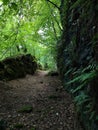 Landscapes of Scotland - Blairgowrie Lade