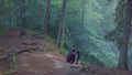 View of man in plaid shirt and trousers sitting on the edge of deep ravine and taking a picture or video of beautiful