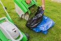 View of man pouring grass clippings from green lawn from lawnmower basket into plastic bag in garden.