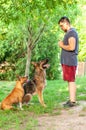 View on an man training an american staffordshire terrier and a german shepherd dog Royalty Free Stock Photo