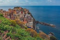 View of Manarola, Cinque Terre, Italy Royalty Free Stock Photo