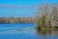 The view of Manatee Springs and Suwannee River. Manatee Springs State Park is in Chiefland, Florida Royalty Free Stock Photo