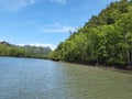 View of mangrove forest and limestone hills in Kilim Karst Geoforest Park, Langkawi, Kedah, Malaysia. Royalty Free Stock Photo
