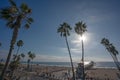 View of a Manhattan Beach with the pier and palm trees in Califo