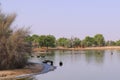 View of the manmade lake with black swans and sign LOVE at Al Qudra Lakes in Al Marmoom Desert Conservation Reserve.