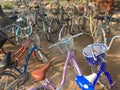 View of many bicycles parked in a yard