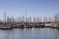 View of many yachts parked