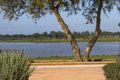 Walk in front of the marshes in the village of El RocÃÂ­o