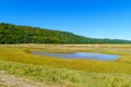 Cape Enrage nature reserve, New Brunswick