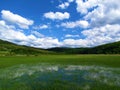 View of marshland at lake Cerknica in Notranjska, Slovenia Royalty Free Stock Photo