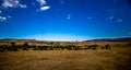 View of the Masai Mara Royalty Free Stock Photo