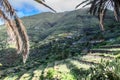 View of Masca village on the island of Tenerife, Canary Islands, Spain Royalty Free Stock Photo