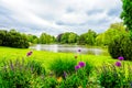 View of the Maschteich with the surrounding nature Royalty Free Stock Photo