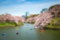 View of massive cherry blossom tree with poeple oar kayak boat in Tokyo, Japan as background. Photoed at Chidorigafuchi, Tokyo,