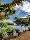 View of Matano Sorowako lake